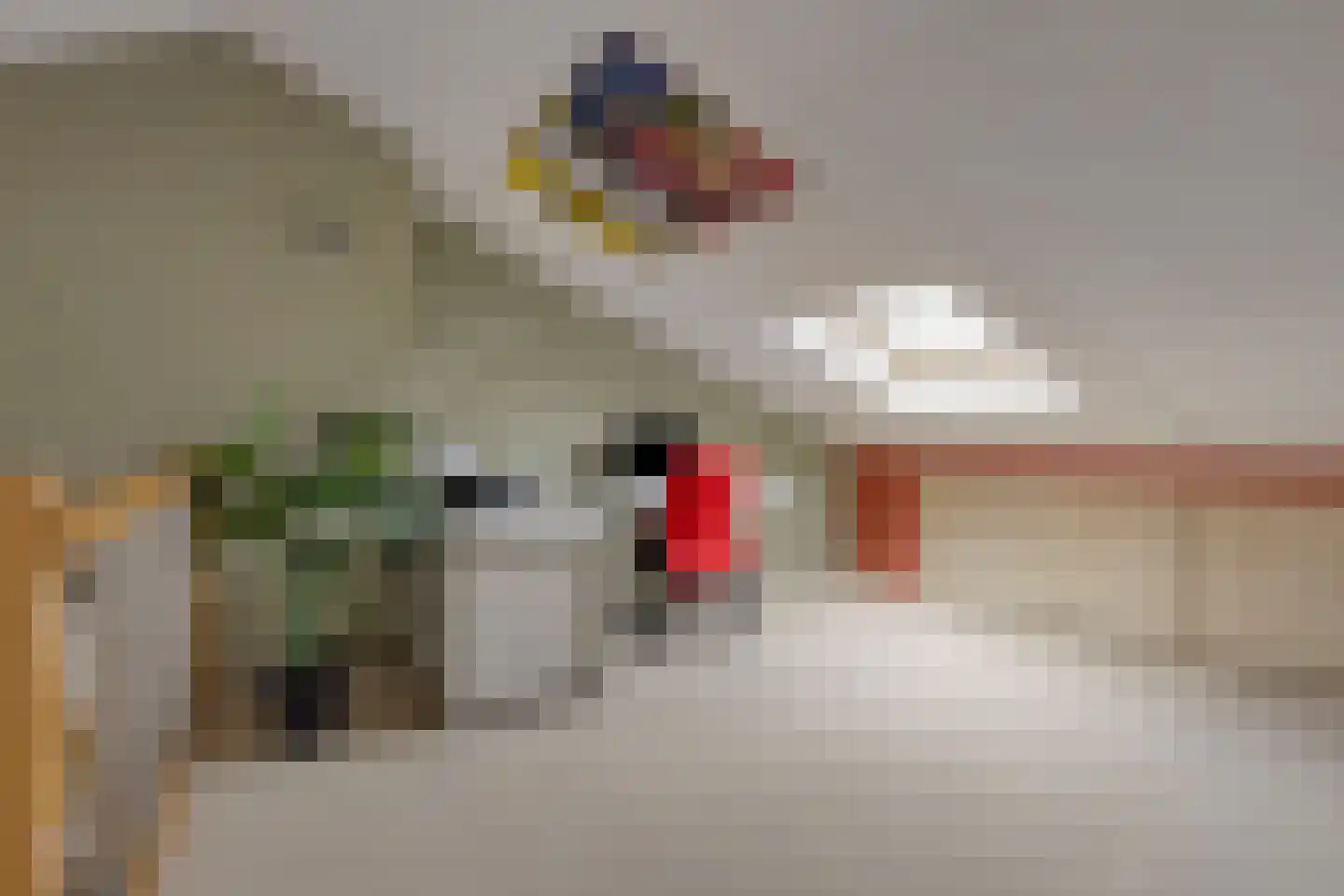 de Vlashoeck 97 Bergschenhoek thumbnail 36