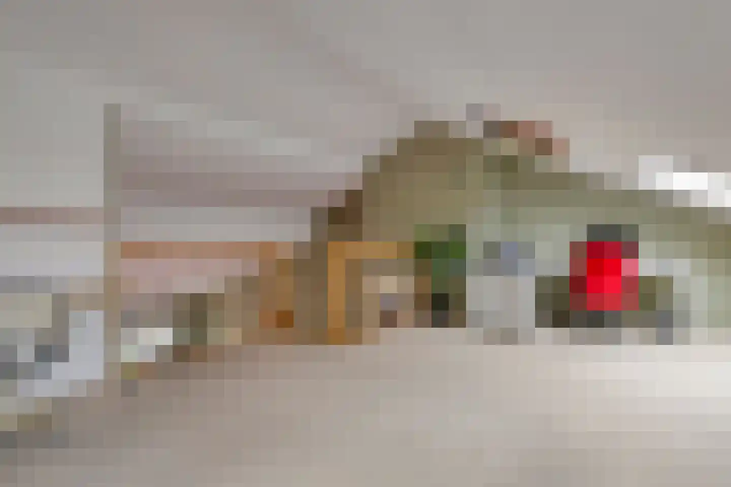de Vlashoeck 97 Bergschenhoek thumbnail 37