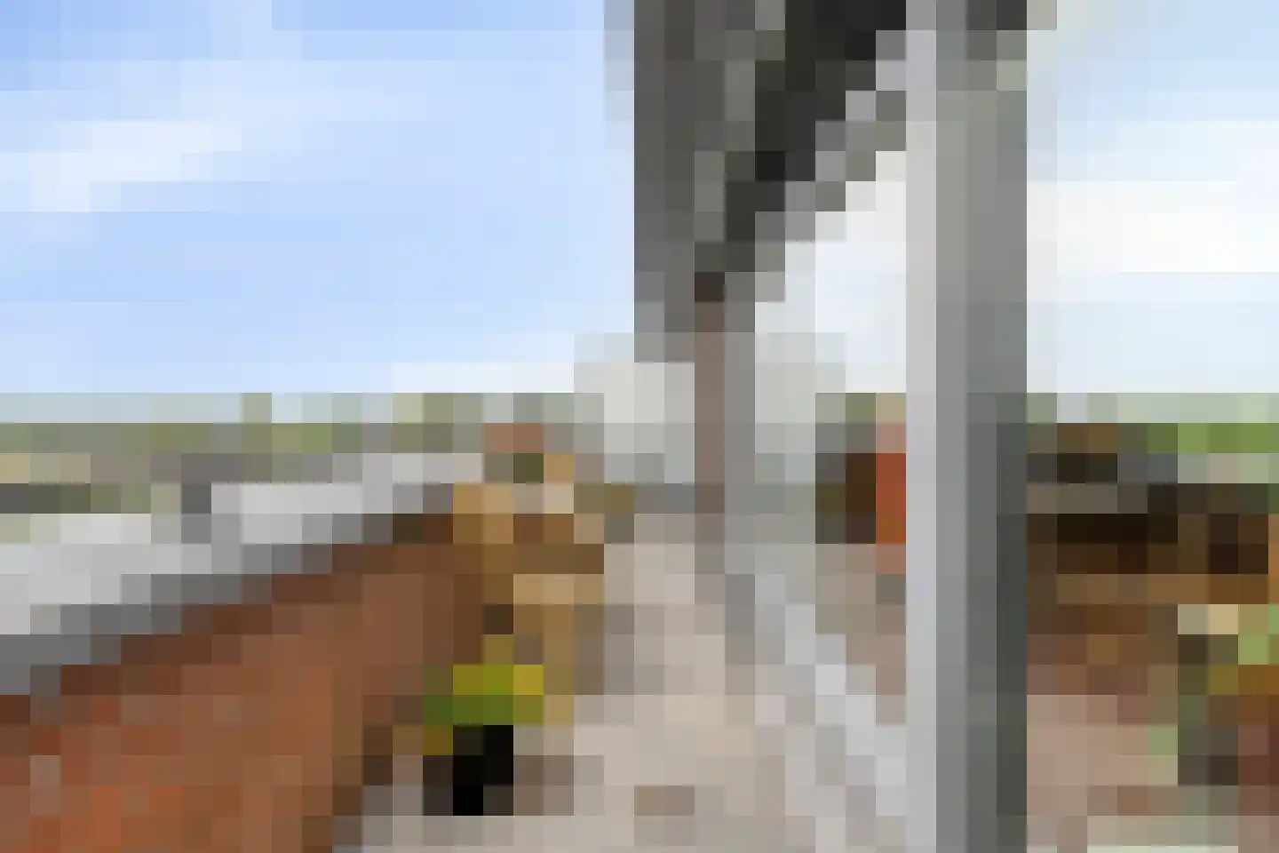 de Vlashoeck 97 Bergschenhoek thumbnail 40