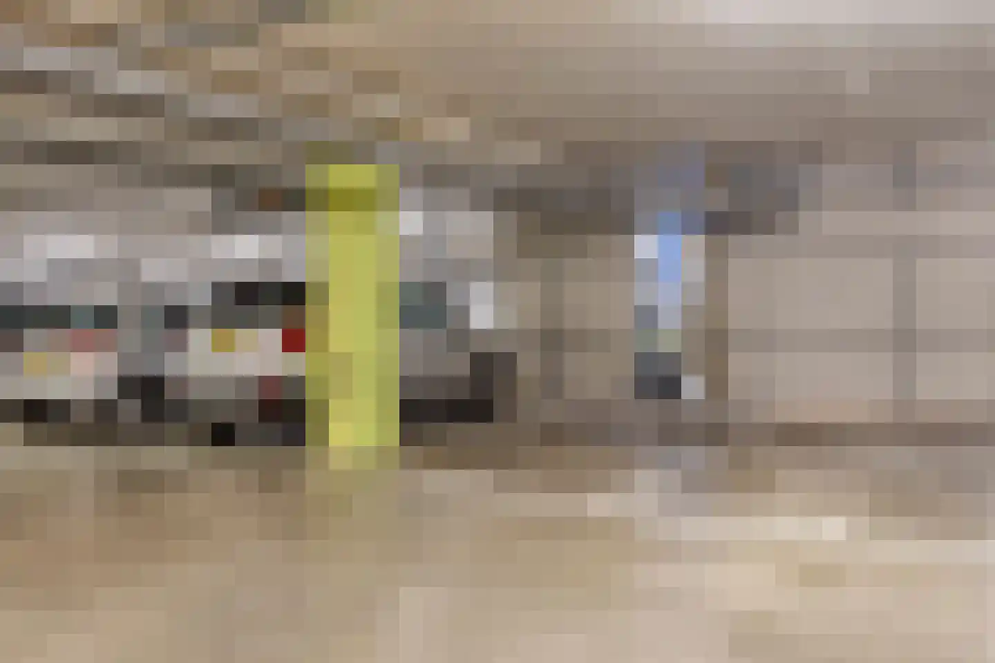 de Vlashoeck 97 Bergschenhoek thumbnail 43