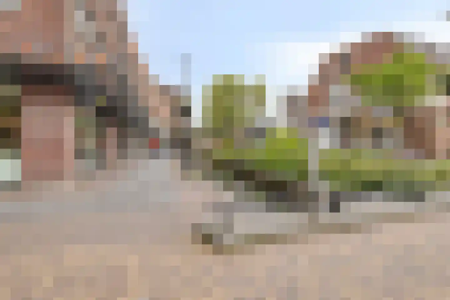 de Vlashoeck 97 Bergschenhoek thumbnail 45