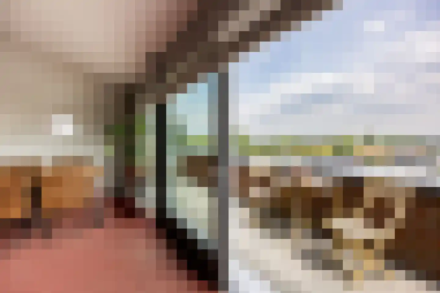 de Vlashoeck 97 Bergschenhoek thumbnail 7