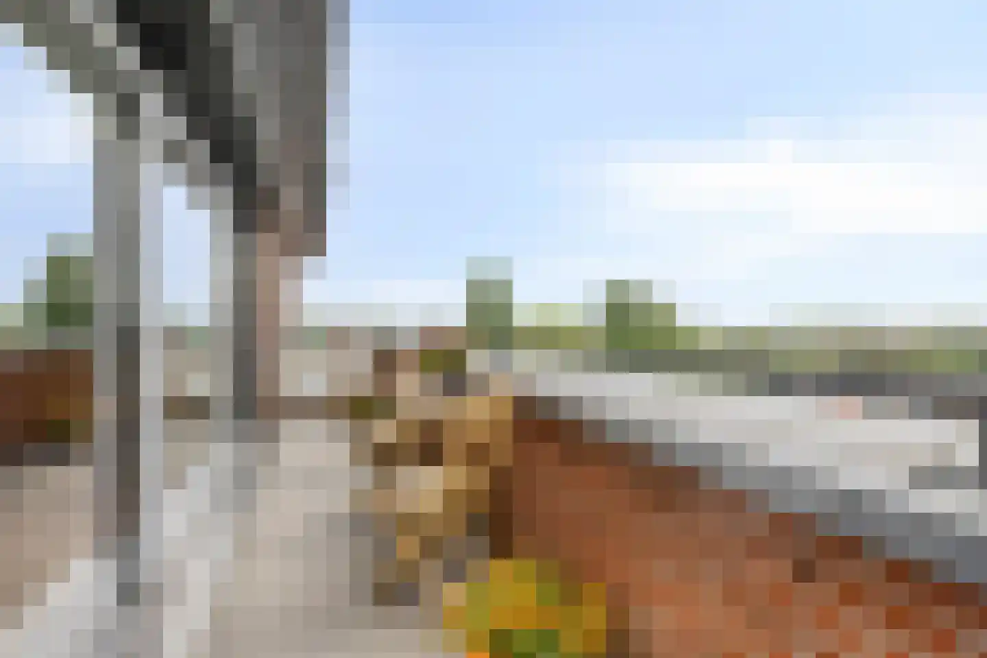 de Vlashoeck 97 Bergschenhoek thumbnail 8