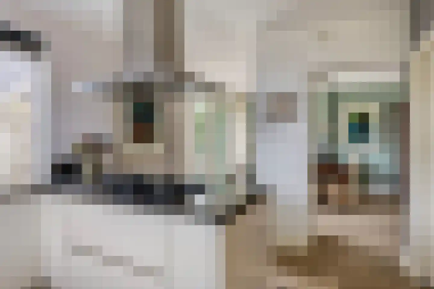 De Vlashoven 2 Noordwijkerhout thumbnail 17