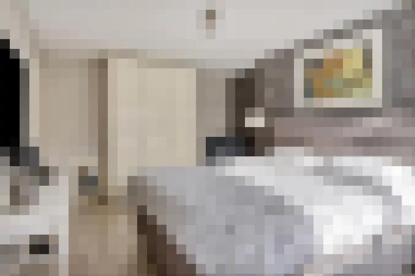 De Vlashoven 2 Noordwijkerhout thumbnail 24