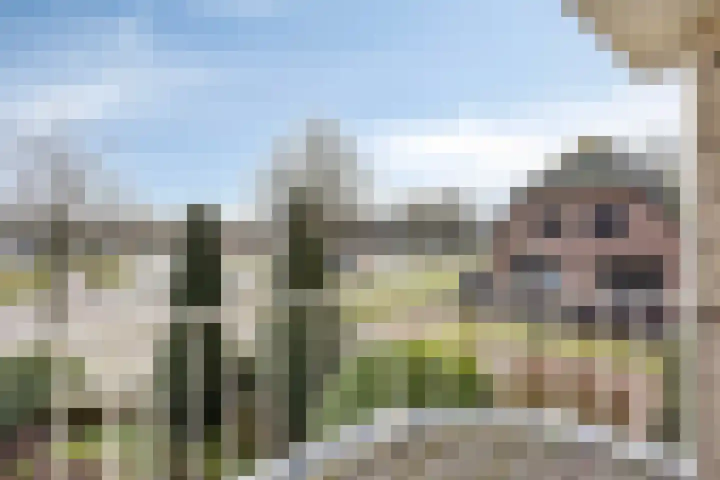 De Vlashoven 2 Noordwijkerhout thumbnail 32