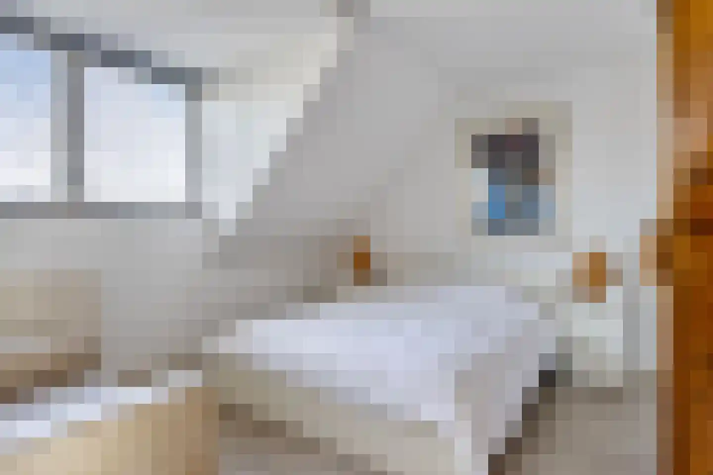 De Vlashoven 2 Noordwijkerhout thumbnail 33