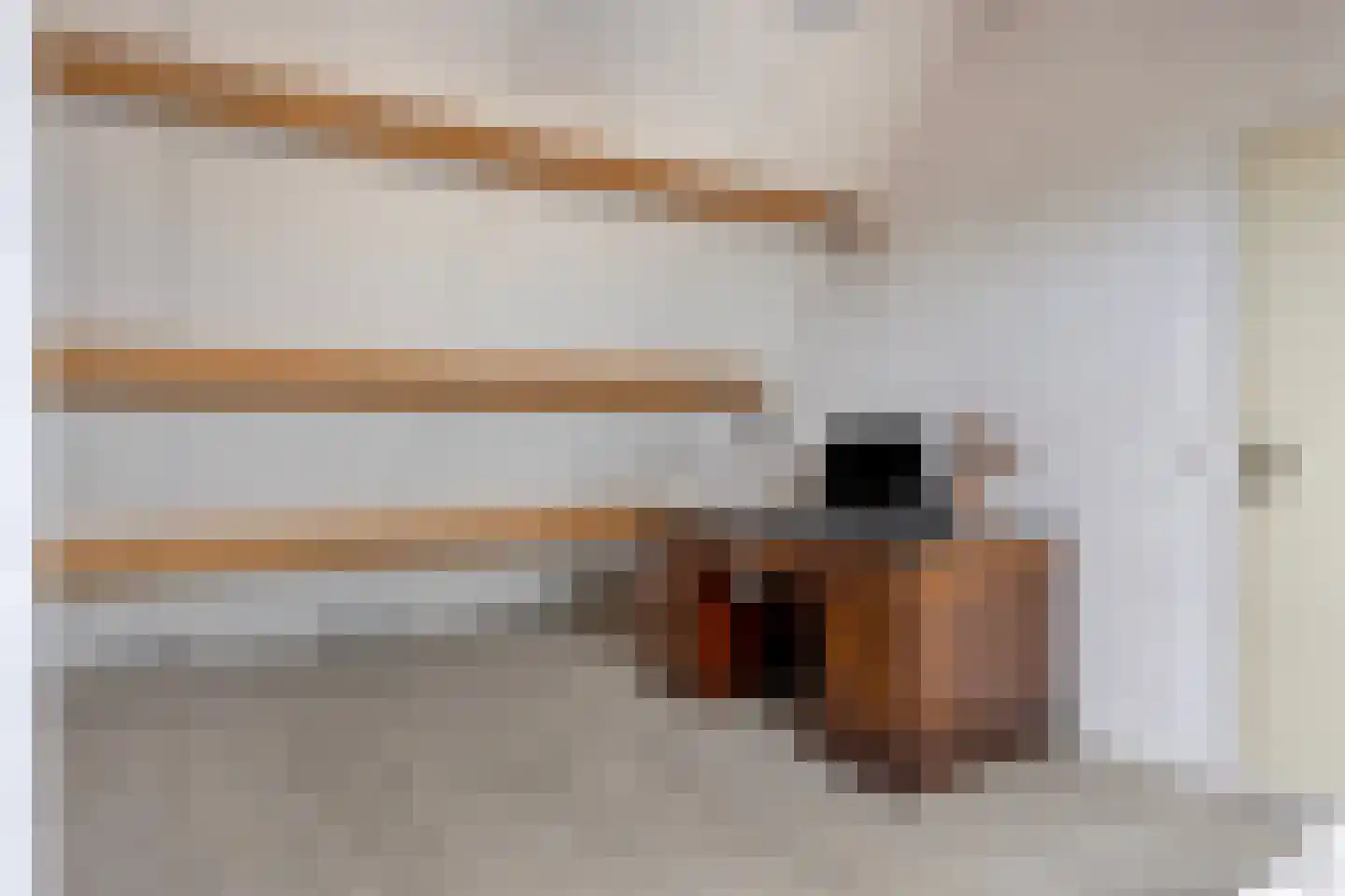 De Vlashoven 2 Noordwijkerhout thumbnail 39