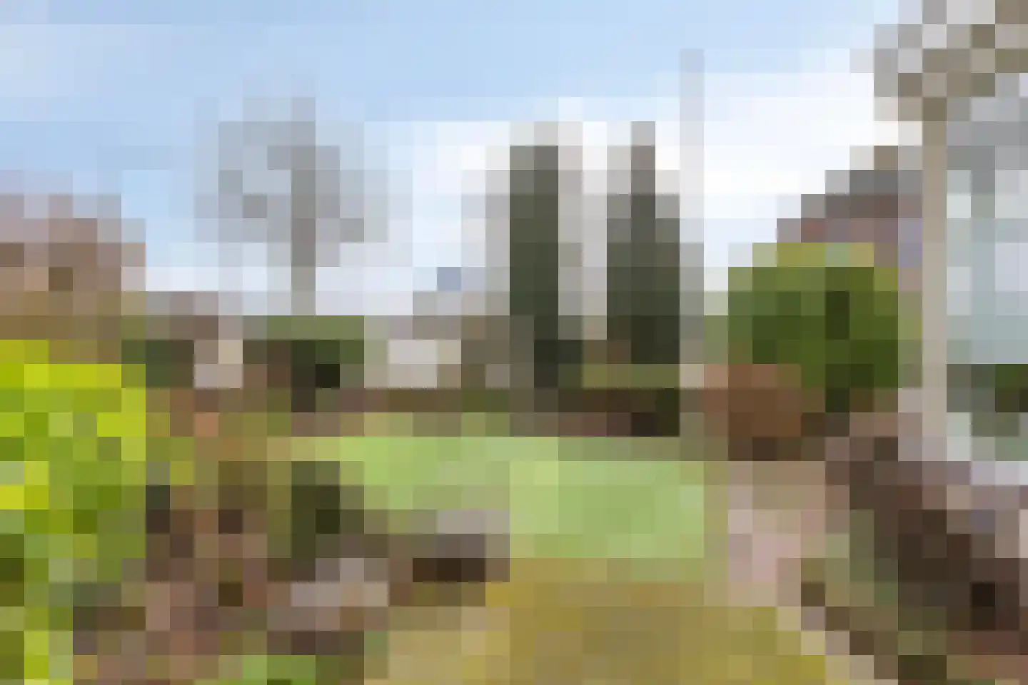De Vlashoven 2 Noordwijkerhout thumbnail 46