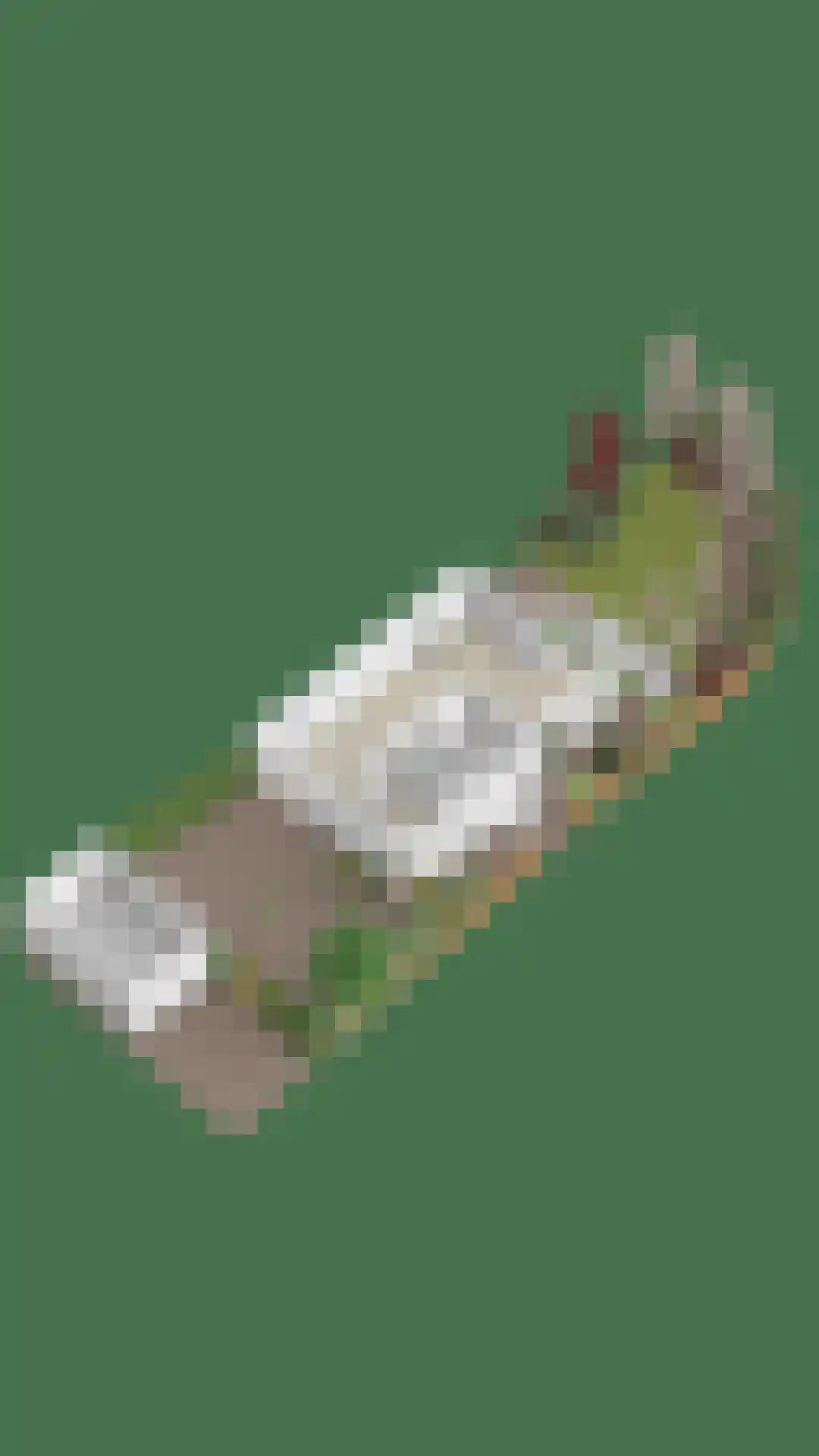 De Vlashoven 2 Noordwijkerhout thumbnail 61