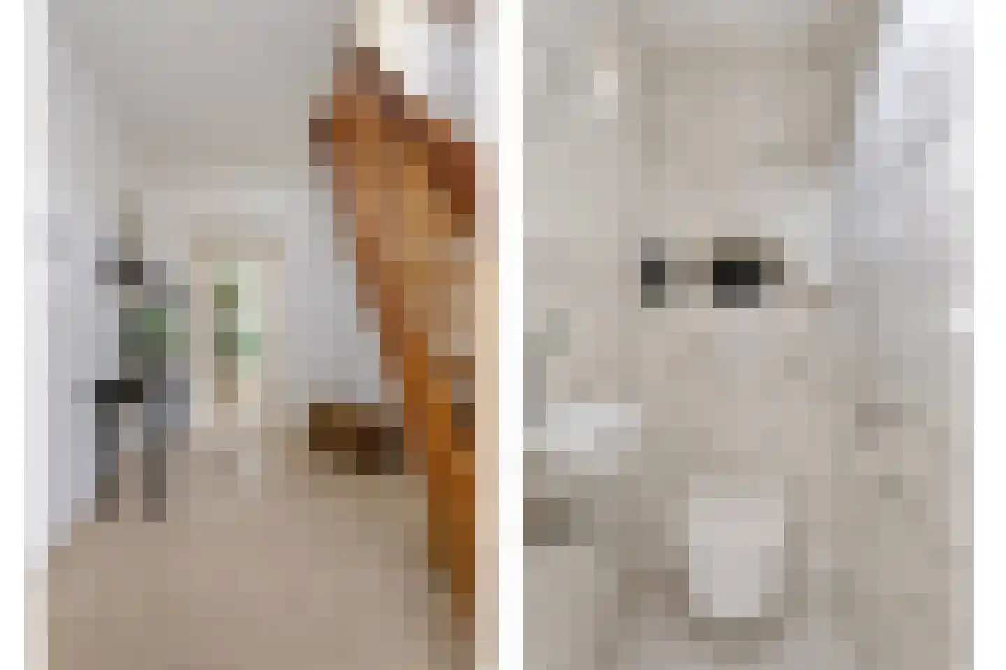 De Vlashoven 2 Noordwijkerhout thumbnail 7
