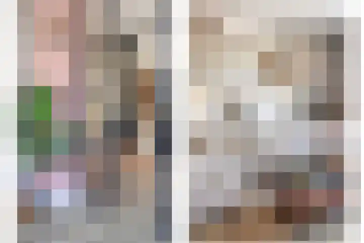 De Vlaskam 7 Dinteloord thumbnail 10