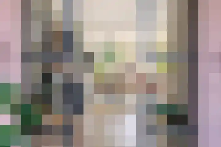 De Vlaskam 7 Dinteloord thumbnail 12