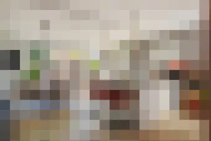 De Vlaskam 7 Dinteloord thumbnail 15