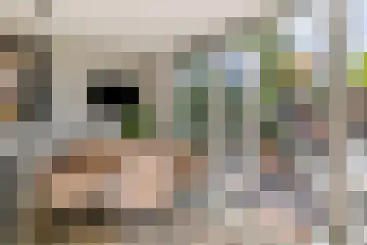De Vlaskam 7 Dinteloord thumbnail 16
