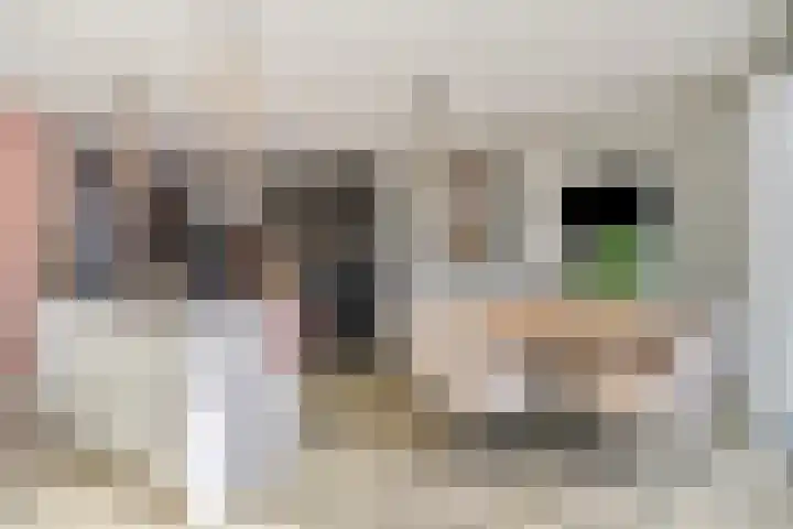 De Vlaskam 7 Dinteloord thumbnail 17