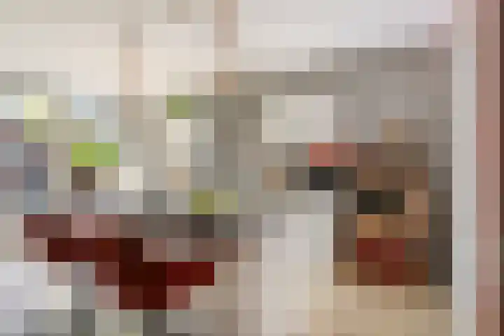 De Vlaskam 7 Dinteloord thumbnail 18