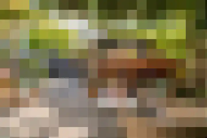 De Vlaskam 7 Dinteloord foto 2