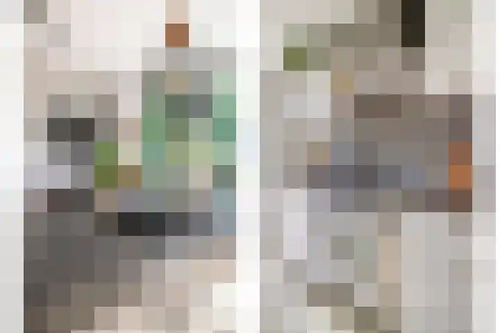 De Vlaskam 7 Dinteloord thumbnail 20