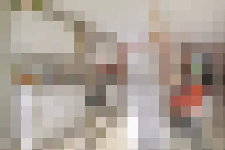 De Vlaskam 7 Dinteloord thumbnail 22