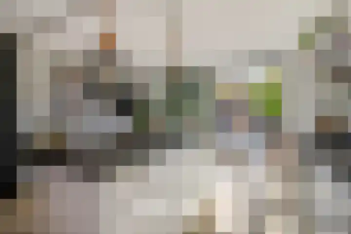 De Vlaskam 7 Dinteloord thumbnail 23