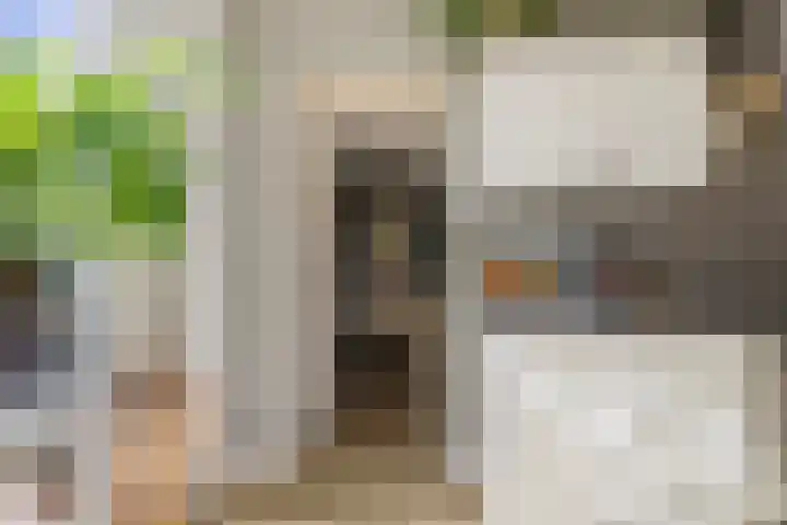 De Vlaskam 7 Dinteloord thumbnail 24