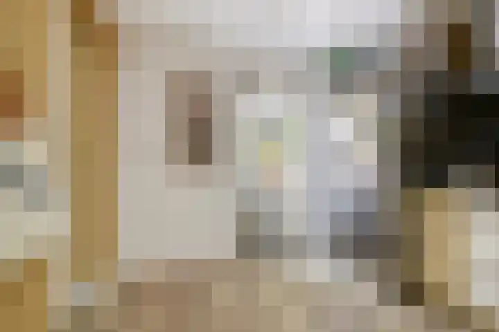 De Vlaskam 7 Dinteloord thumbnail 26