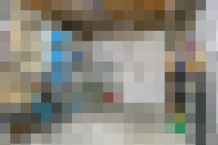 De Vlaskam 7 Dinteloord thumbnail 27