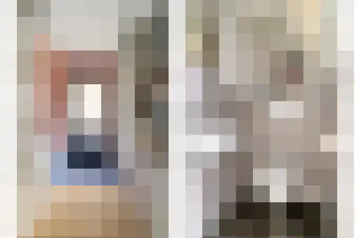 De Vlaskam 7 Dinteloord foto 3