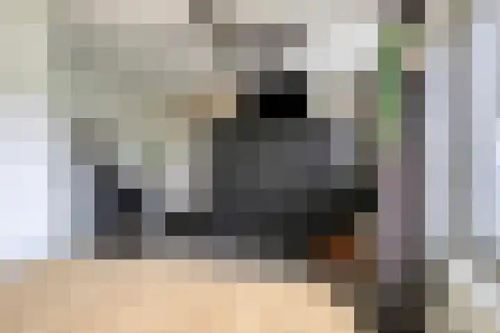 De Vlaskam 7 Dinteloord thumbnail 31