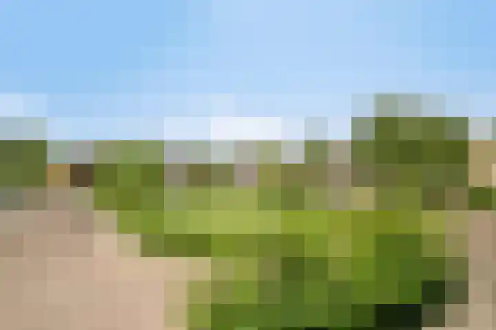 De Vlaskam 7 Dinteloord thumbnail 32