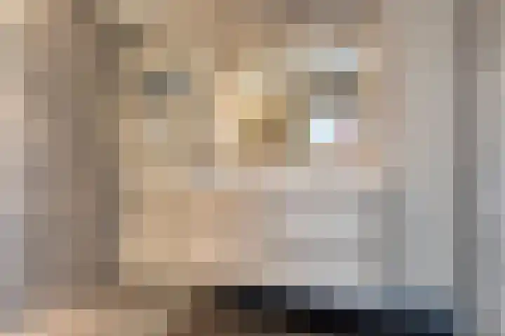 De Vlaskam 7 Dinteloord thumbnail 33