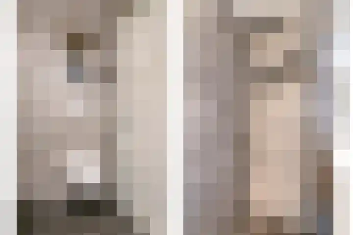 De Vlaskam 7 Dinteloord thumbnail 34