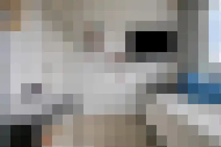De Vlaskam 7 Dinteloord thumbnail 38