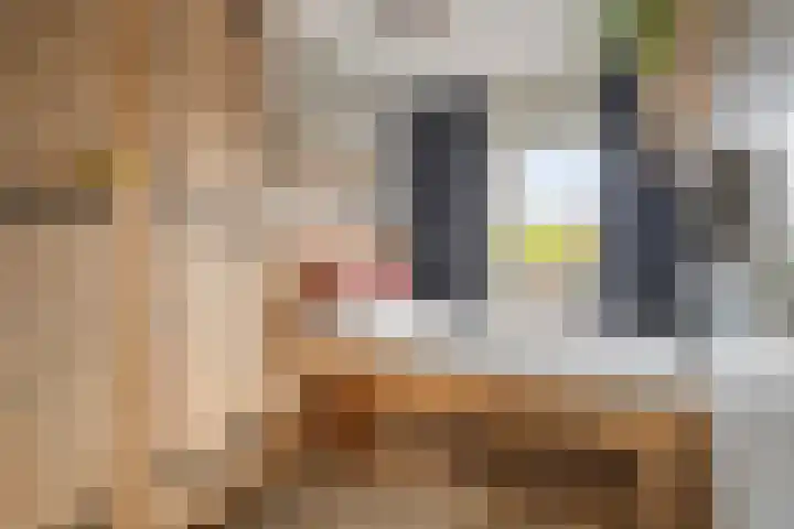 De Vlaskam 7 Dinteloord thumbnail 39