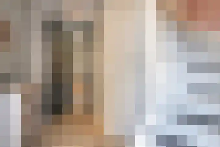 De Vlaskam 7 Dinteloord thumbnail 4
