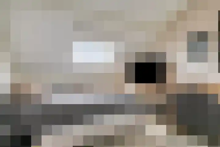 De Vlaskam 7 Dinteloord thumbnail 43