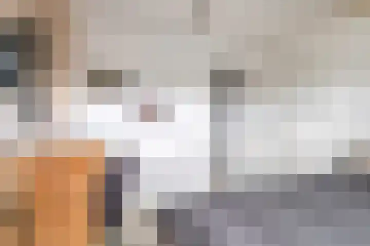 De Vlaskam 7 Dinteloord thumbnail 44