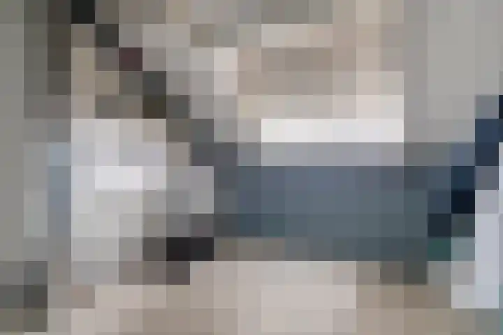 De Vlaskam 7 Dinteloord thumbnail 45