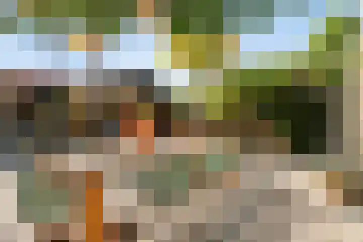 De Vlaskam 7 Dinteloord thumbnail 47