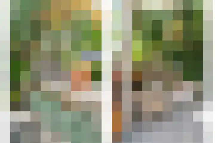 De Vlaskam 7 Dinteloord thumbnail 48