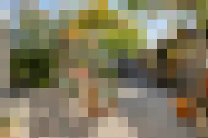 De Vlaskam 7 Dinteloord thumbnail 49