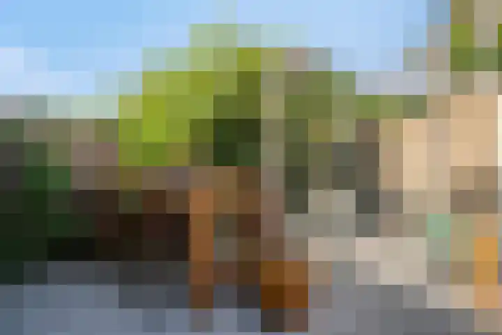 De Vlaskam 7 Dinteloord thumbnail 50
