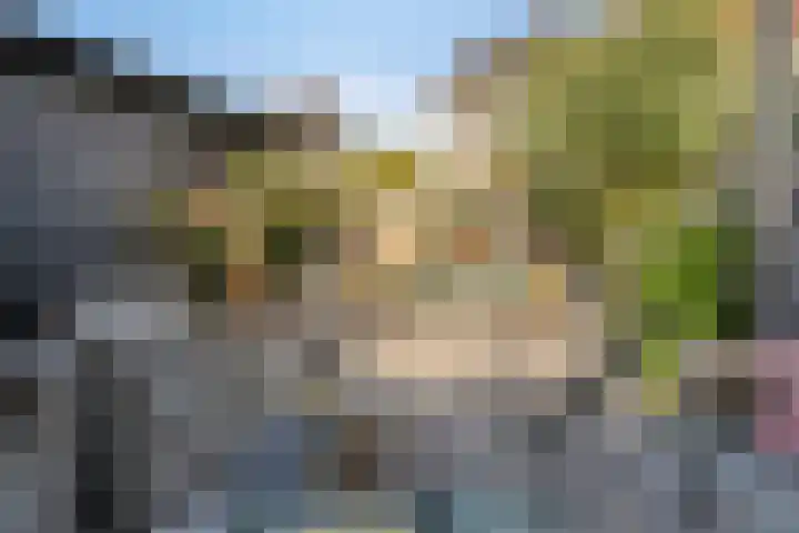 De Vlaskam 7 Dinteloord thumbnail 52