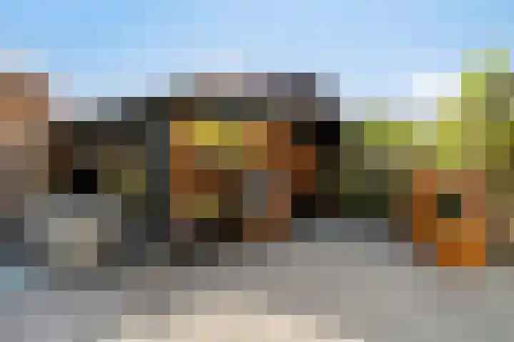 De Vlaskam 7 Dinteloord thumbnail 53