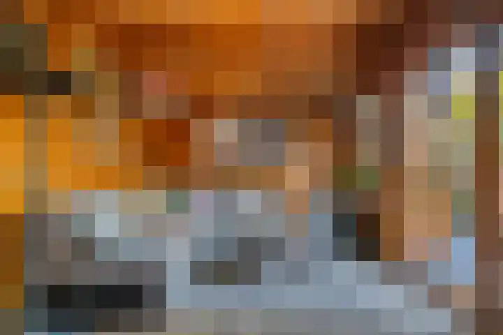De Vlaskam 7 Dinteloord thumbnail 54