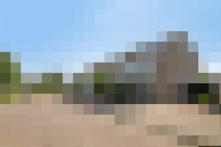 De Vlaskam 7 Dinteloord thumbnail 55