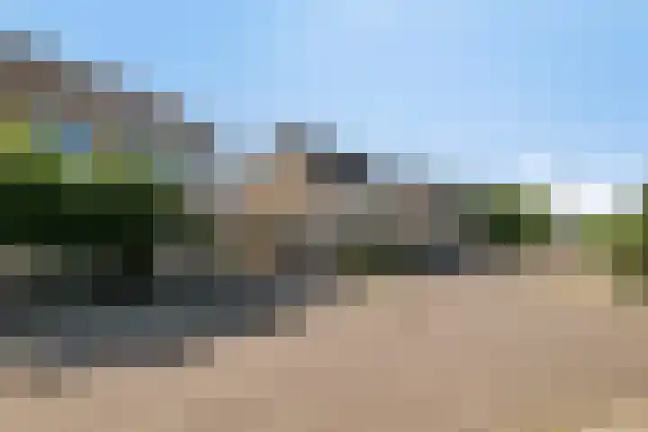 De Vlaskam 7 Dinteloord thumbnail 56