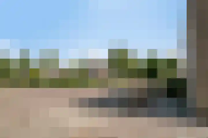 De Vlaskam 7 Dinteloord thumbnail 57