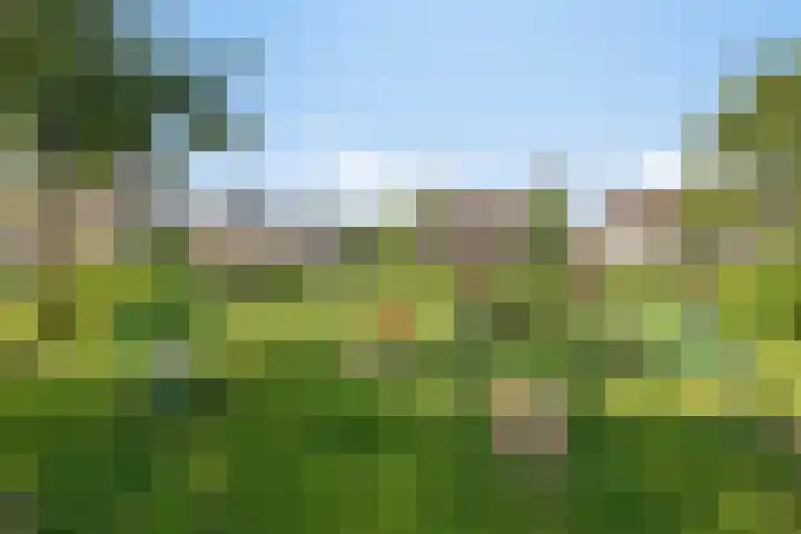 De Vlaskam 7 Dinteloord thumbnail 58